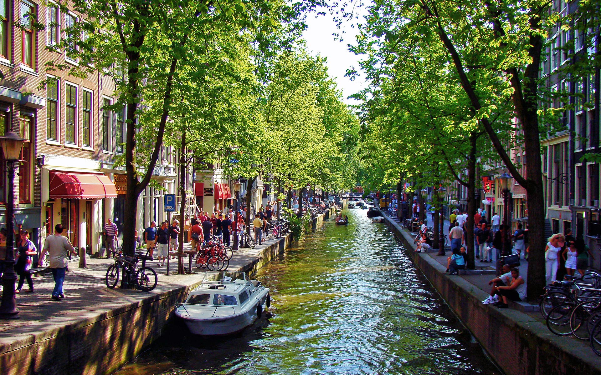 Czy stolica Holandii jest bezpieczna?
